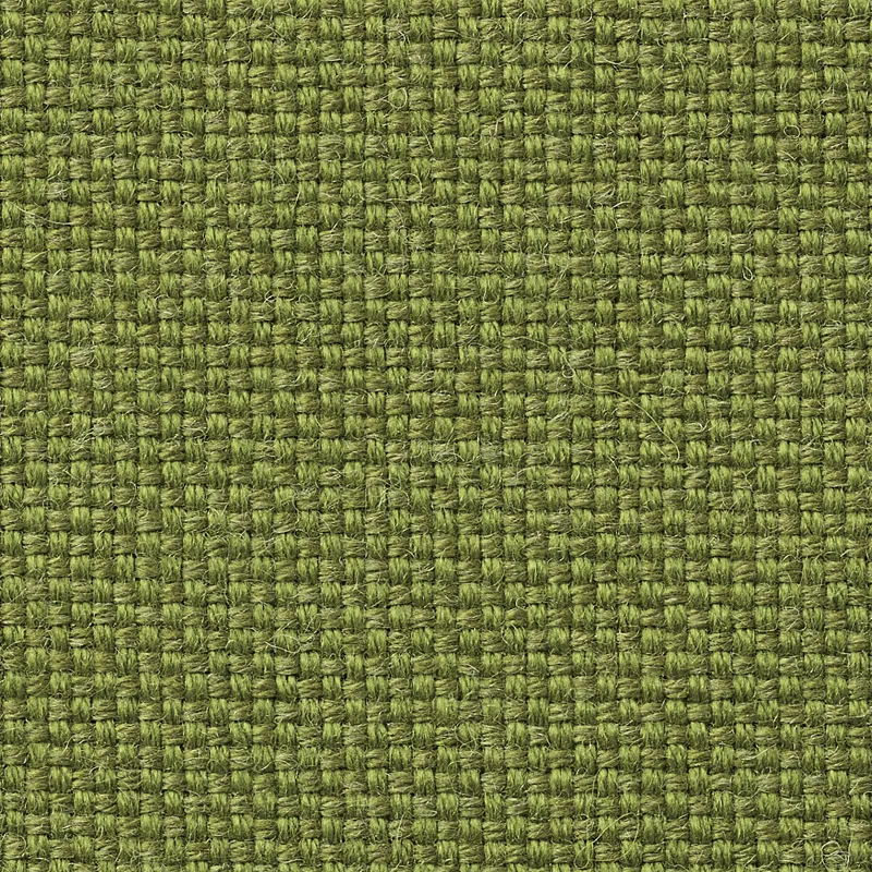 アダルDランク N.C. 032