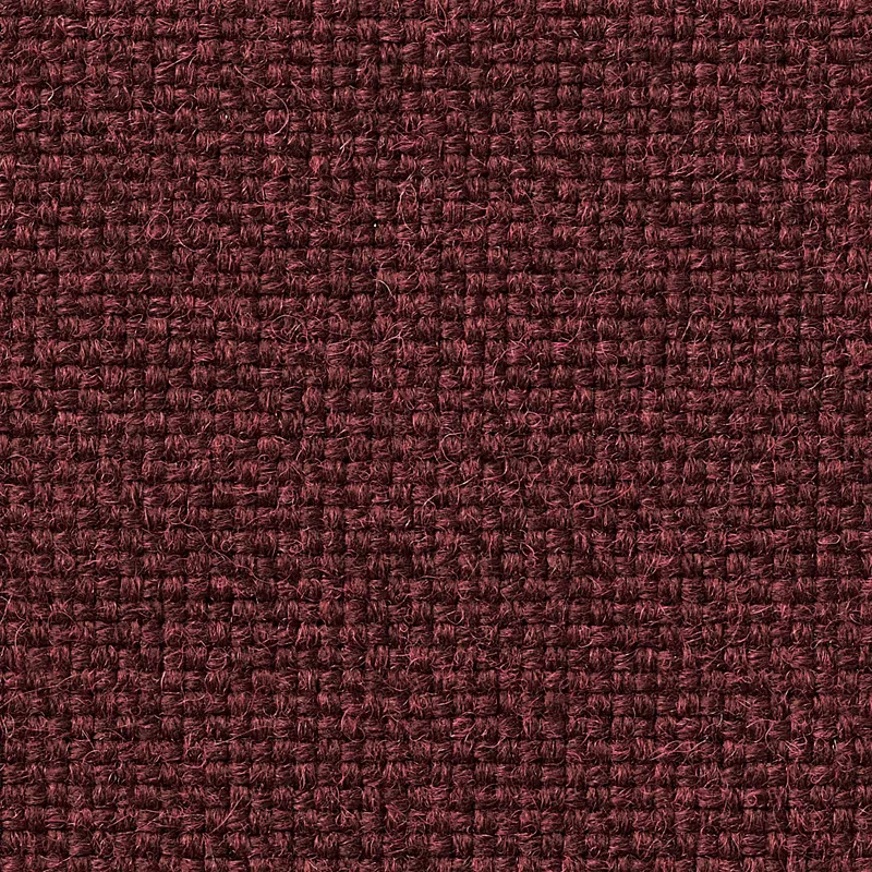 アダルDランク N.C. 104