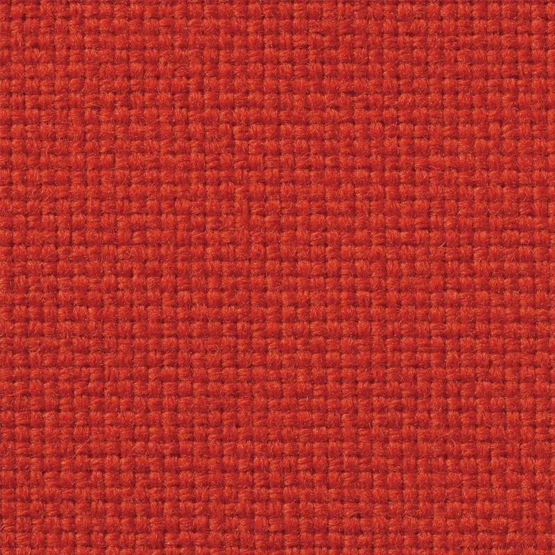 アダルDランク N.C. 111