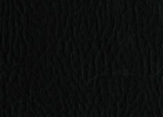 Yamada Dランク レガートL-6444